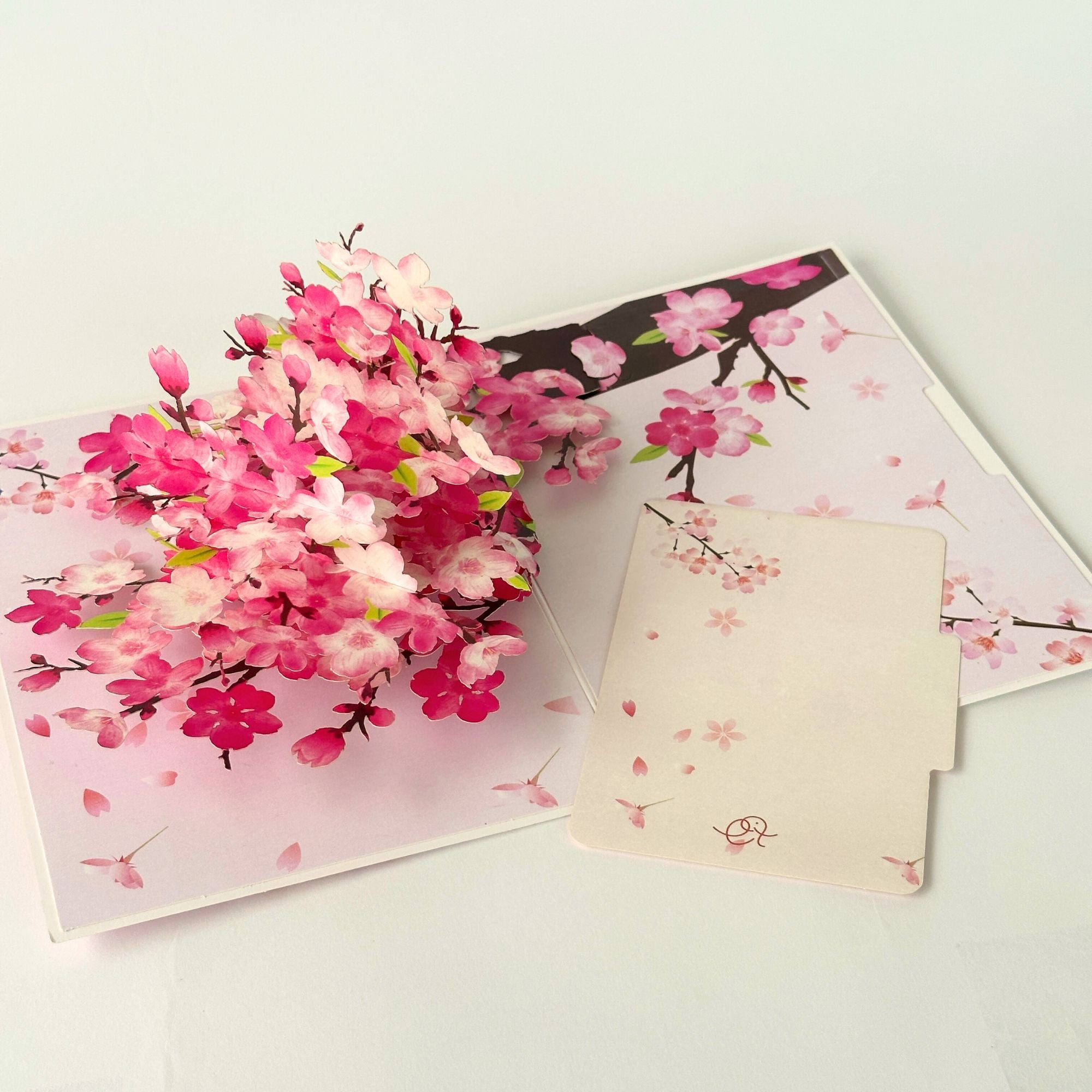 Pop Up Greeting Card Spring Cherry Blossom Blooming Colorful Nature Card Gift Idea Love Thank You Birthday Family Card Mother's Day Gift