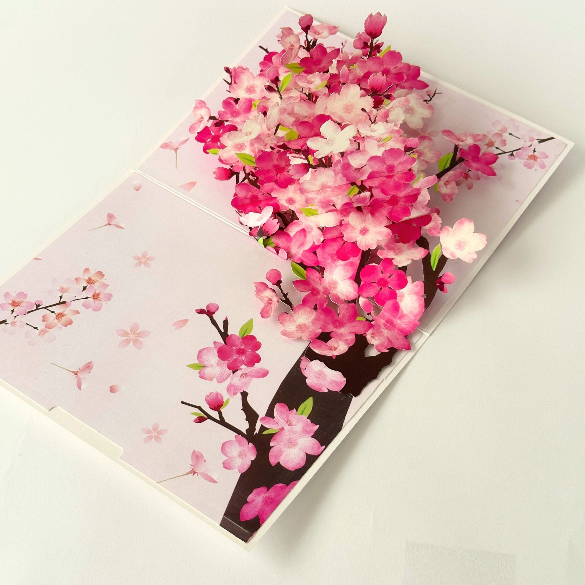 Pop Up Greeting Card Spring Cherry Blossom Blooming Colorful Nature Card Gift Idea Love Thank You Birthday Family Card Mother's Day Gift