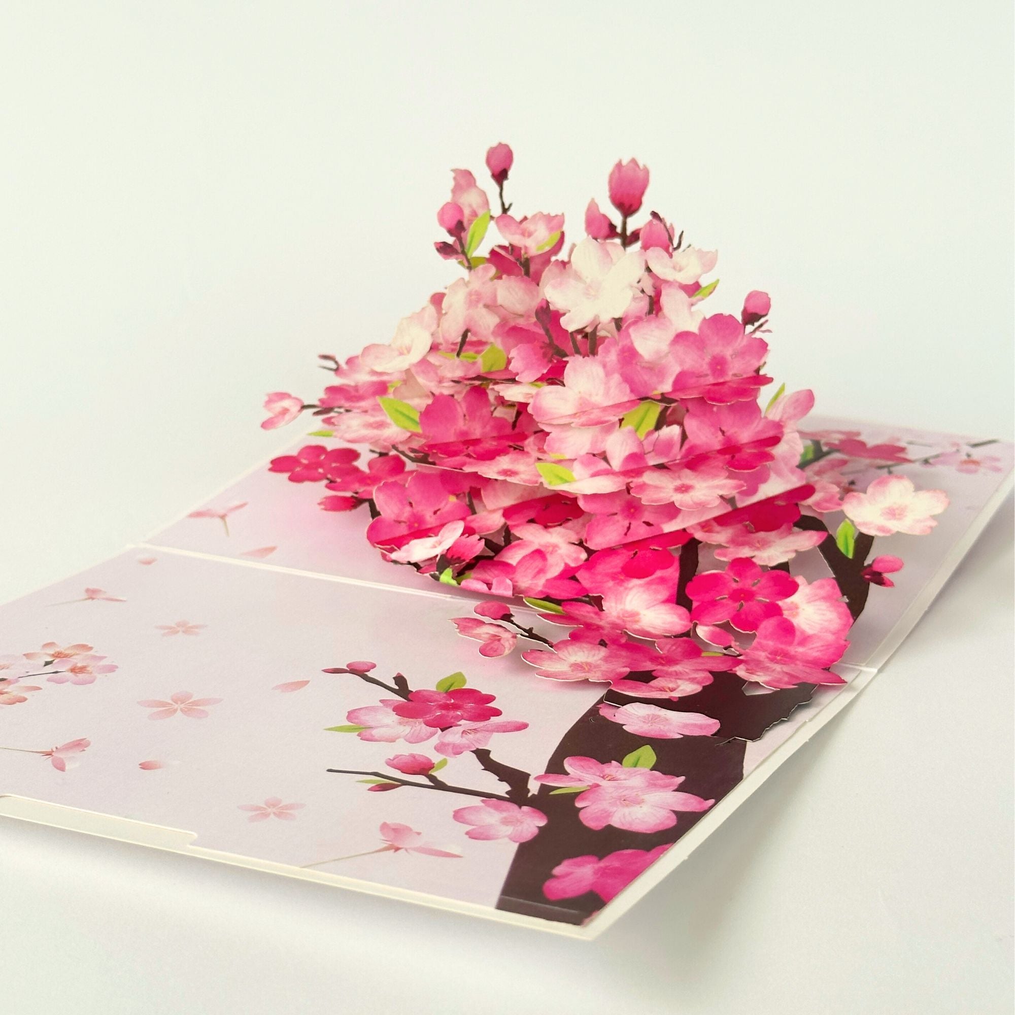 Pop Up Greeting Card Spring Cherry Blossom Blooming Colorful Nature Card Gift Idea Love Thank You Birthday Family Card Mother's Day Gift