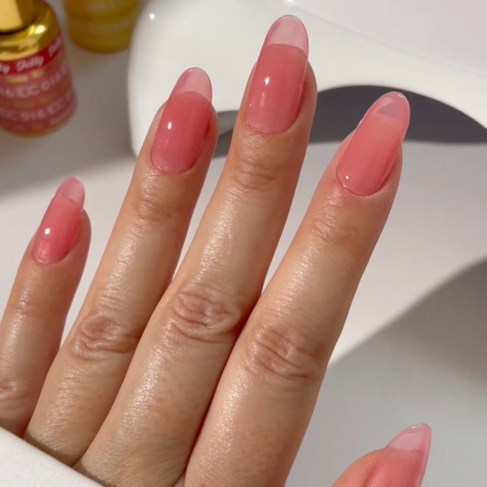 DND DC All My Jelly Gel Polish – #016 Rose (0.6oz / 18ml) – NEW 2026