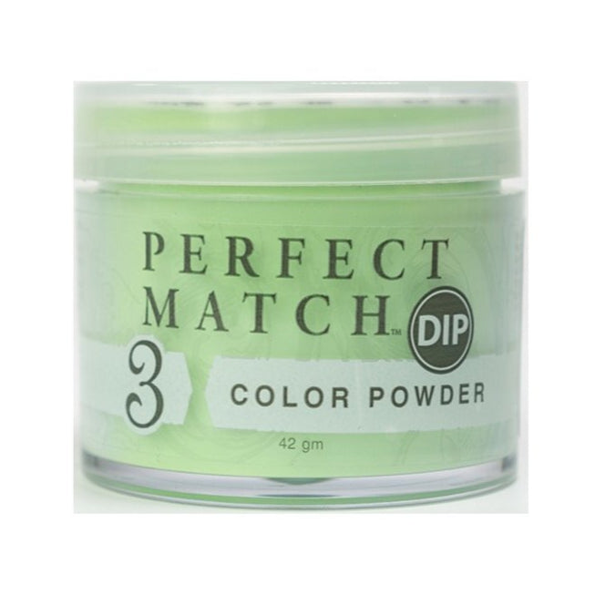 LeChat - Perfect Match Dip Power 42g (#201 - #270)