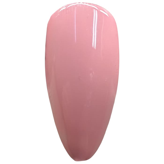 MaXie - Rose Blush Nude Collection - 12 Colors (Hema + TPO Free)