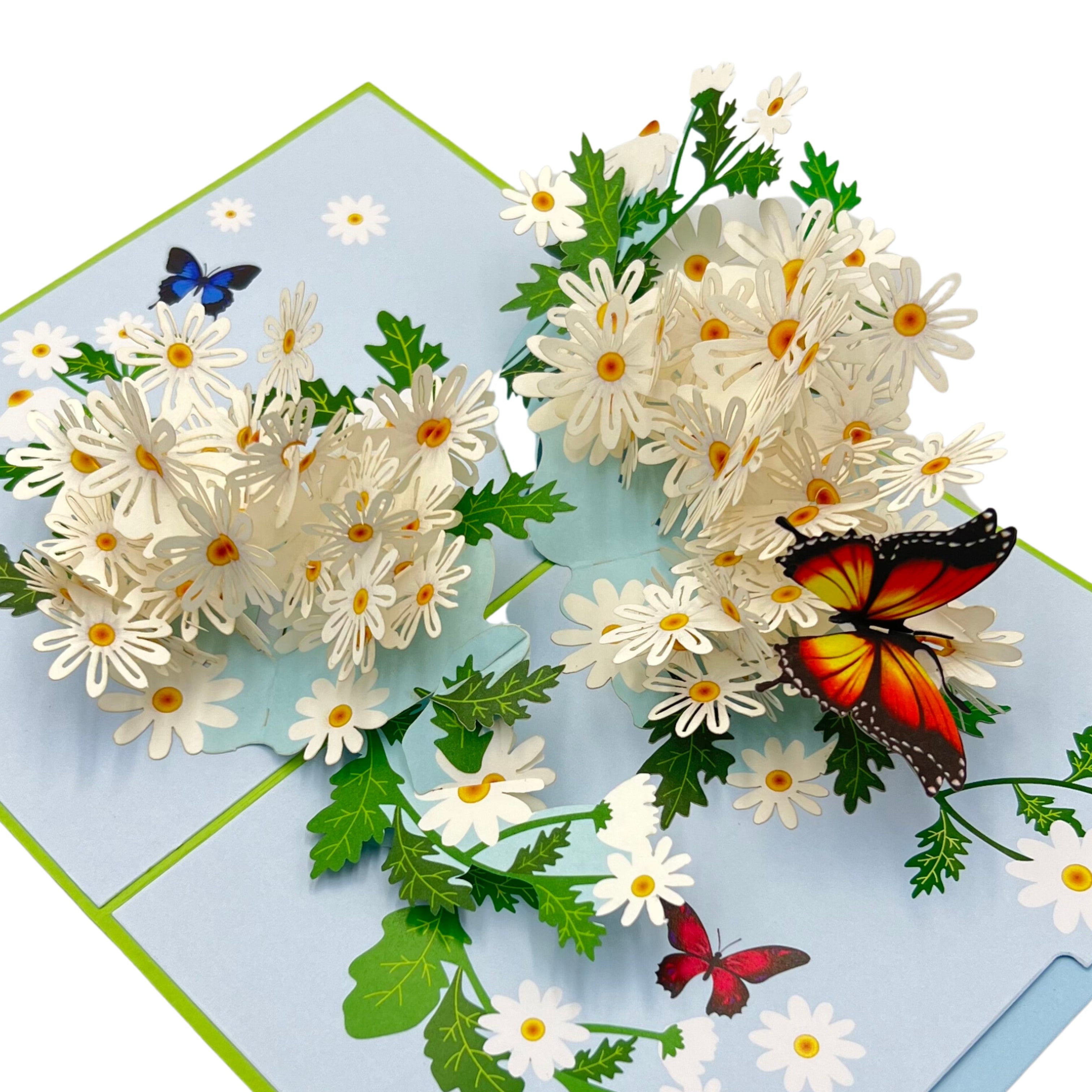 Pop Up Greeting Card Blooming White Daisy Field Card, Flower Card, Daisy Gift, Flower Cards, Spring Card, Mother's Day, Flowers Gift Card