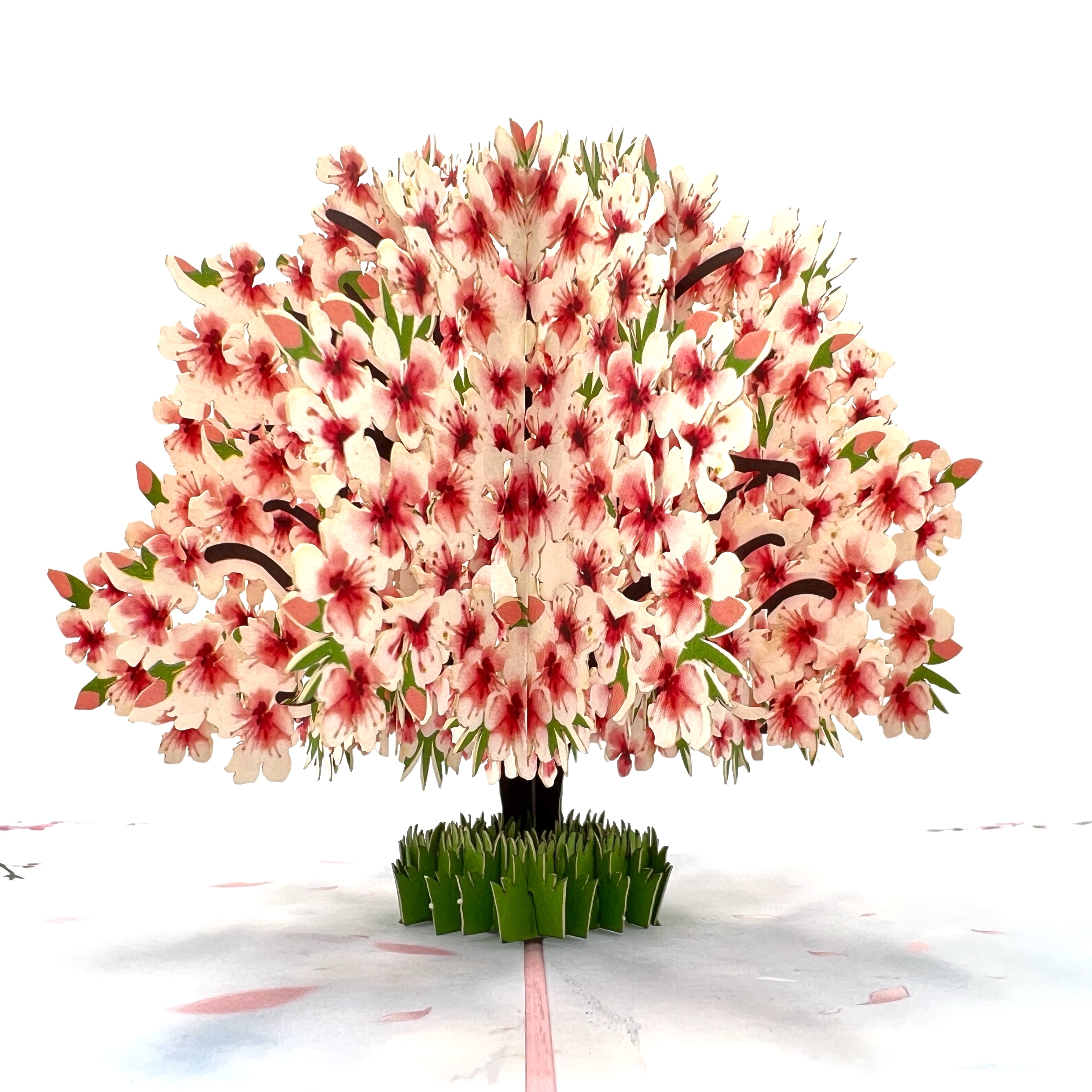 http://niumcraft.com/cdn/shop/files/niumcraft-cherry-blossom-blooms-3D-pop-up-greating-card-01.jpg?v=1692631986