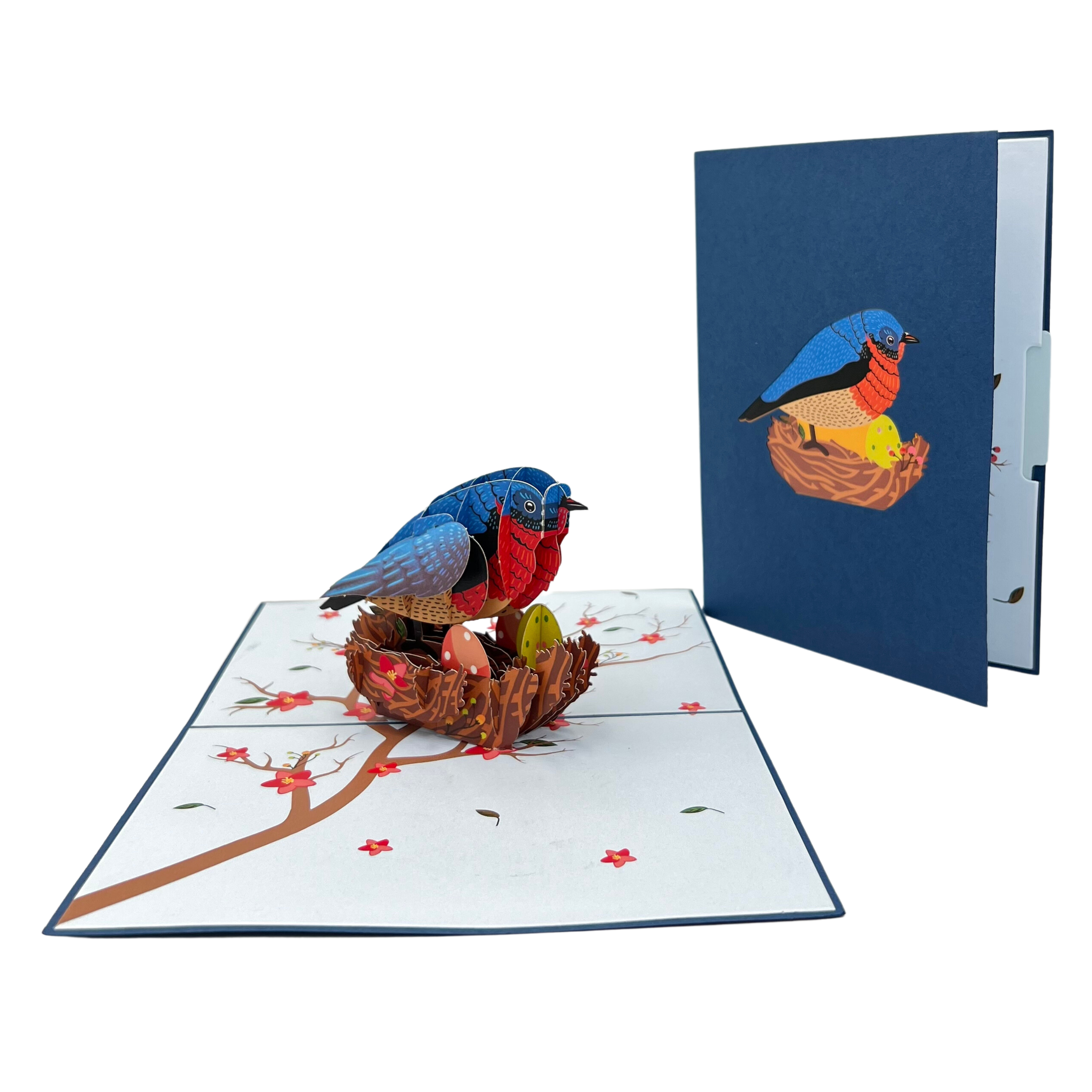 Pop Up Greeting Card bird Incubating Eggs, Family Card, Mothers Day Gift, Fathers Day idea, Nature card, Animal Gift Thank You Birthday Card