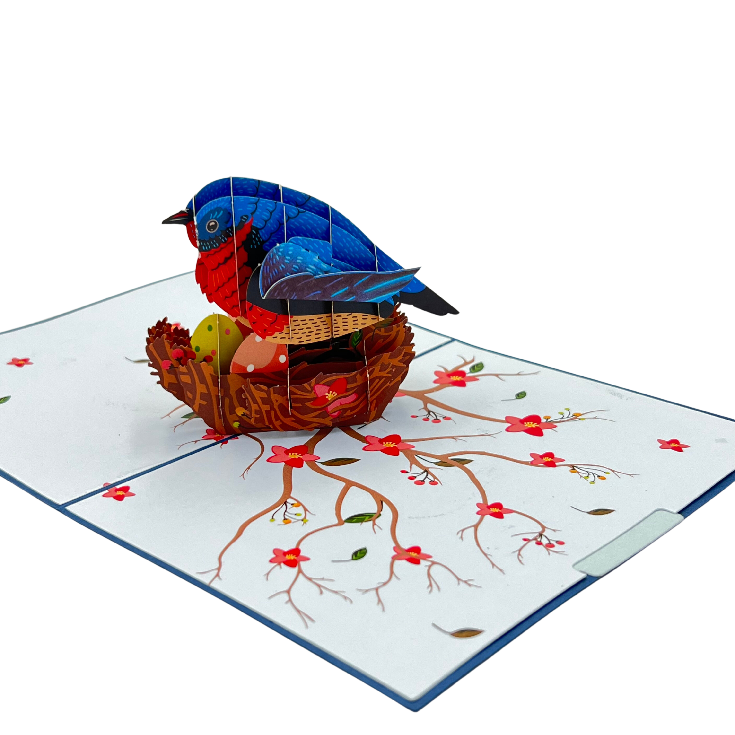 Pop Up Greeting Card bird Incubating Eggs, Family Card, Mothers Day Gift, Fathers Day idea, Nature card, Animal Gift Thank You Birthday Card