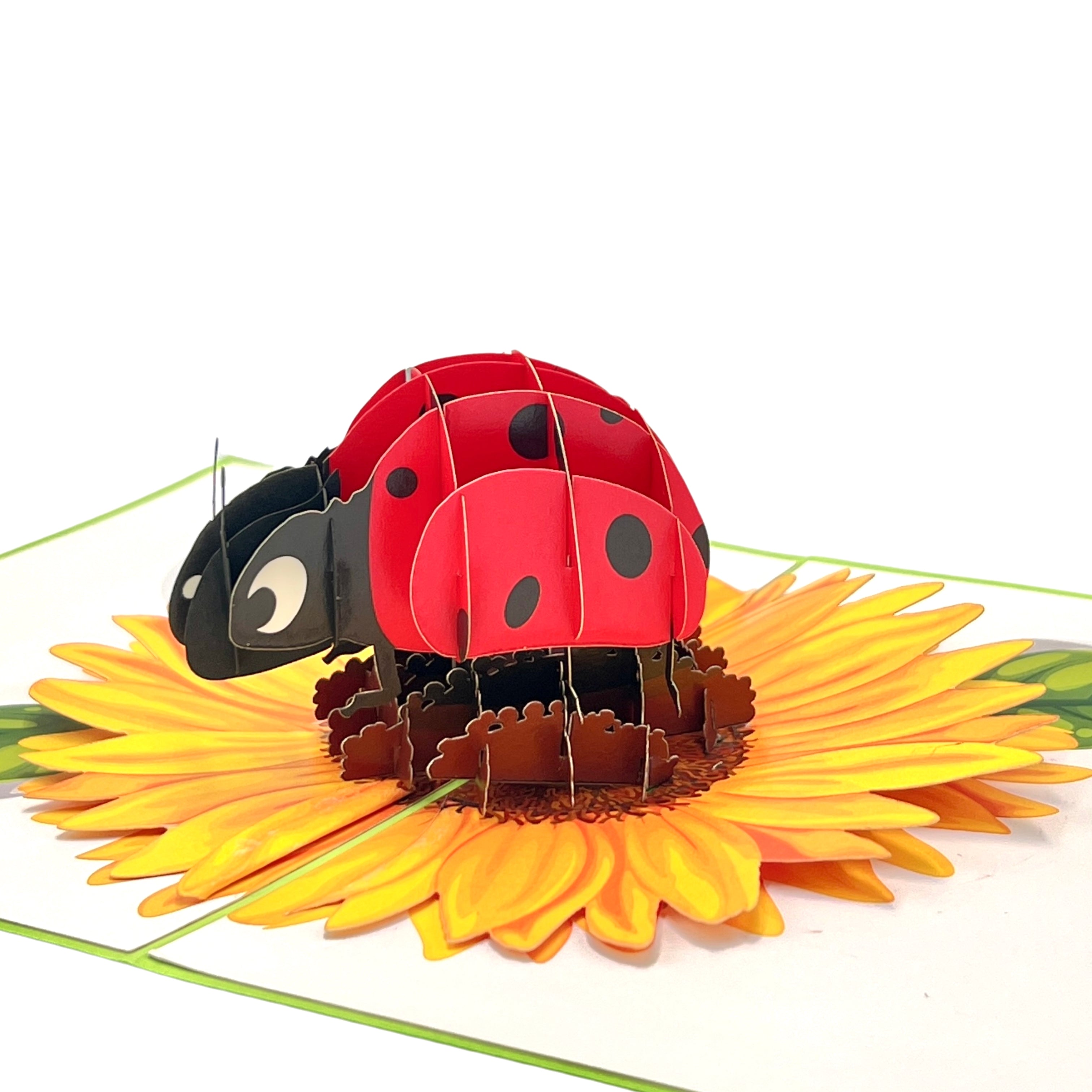 Pop Up Greeting Card a Ladybug on SunFlower Card, Flower Nature Animal Lover Card Thank You Birthday Gift for Kid Mom Dad Family Friend