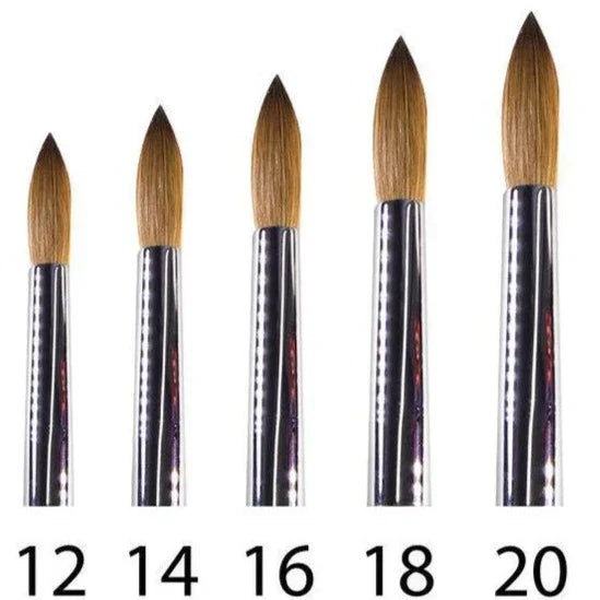 TNM - Beauty Plus Kolinsky 111 A+ Brush Size: 14 - 16 - 18