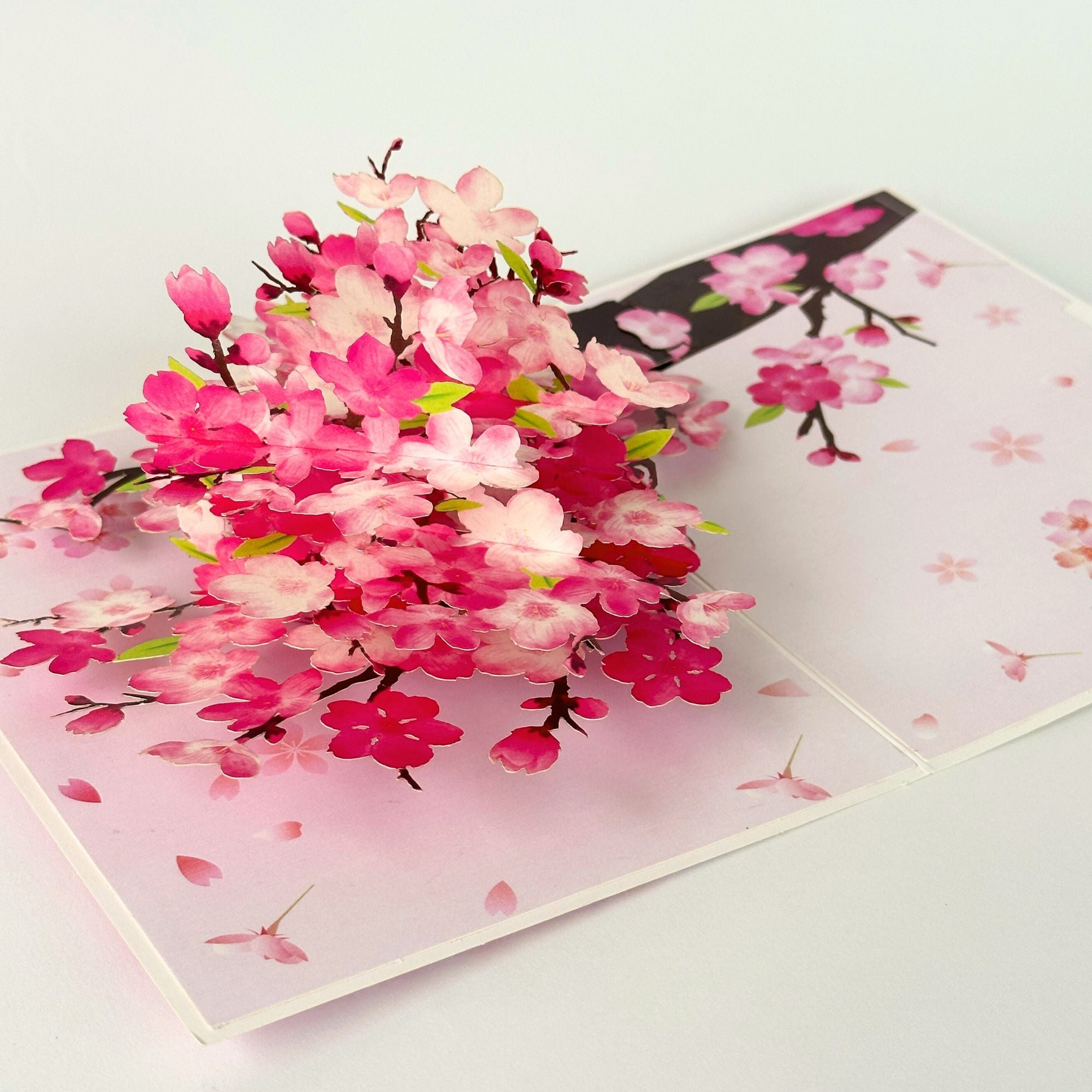 Pop Up Greeting Card Spring Cherry Blossom Blooming Colorful Nature Card Gift Idea Love Thank You Birthday Family Card Mother's Day Gift