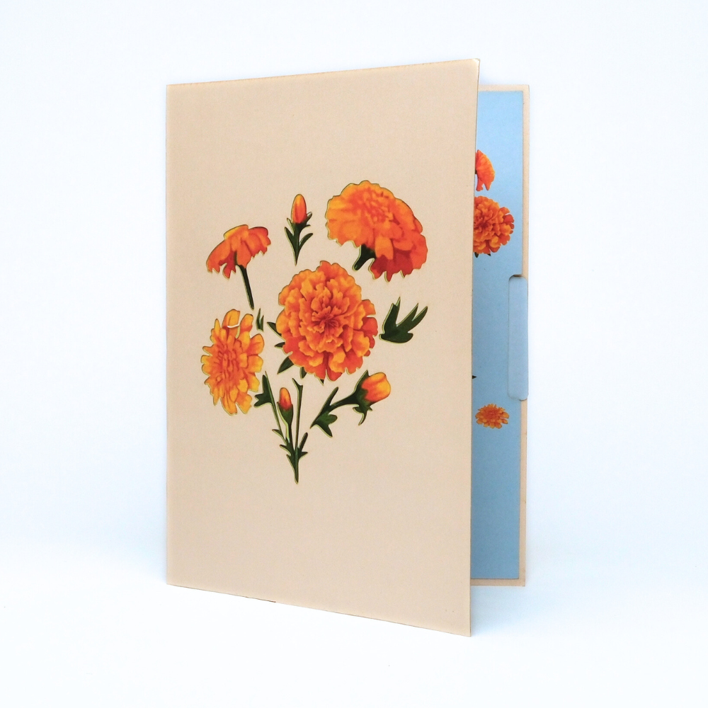 Pop Up Greeting Card Blooming Marigold Autumn Orange Fall Color October Birthday Flower Thank You Card Wild Flower Card Birthday Mom Gift