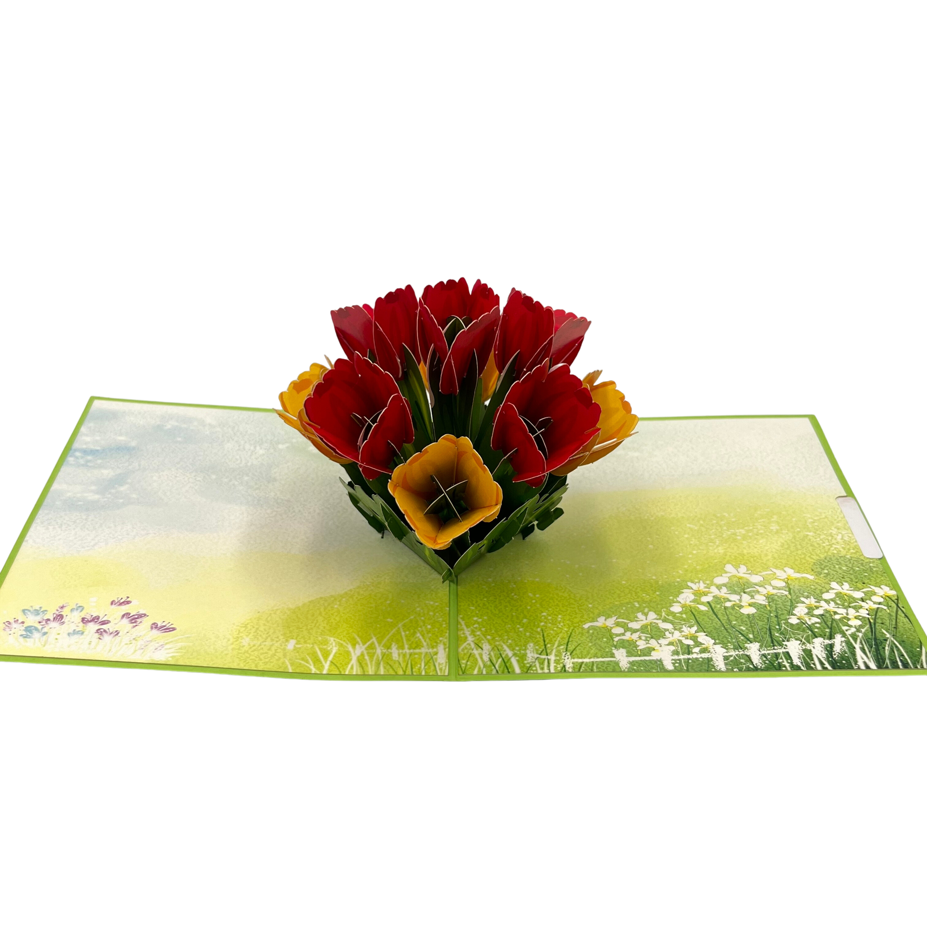 Pop Up Greeting Card Blooming Bouquets of Tulips Flower Spring Nature Card Birthday Card Thank You Card For Kids Mom Dad Family Friend