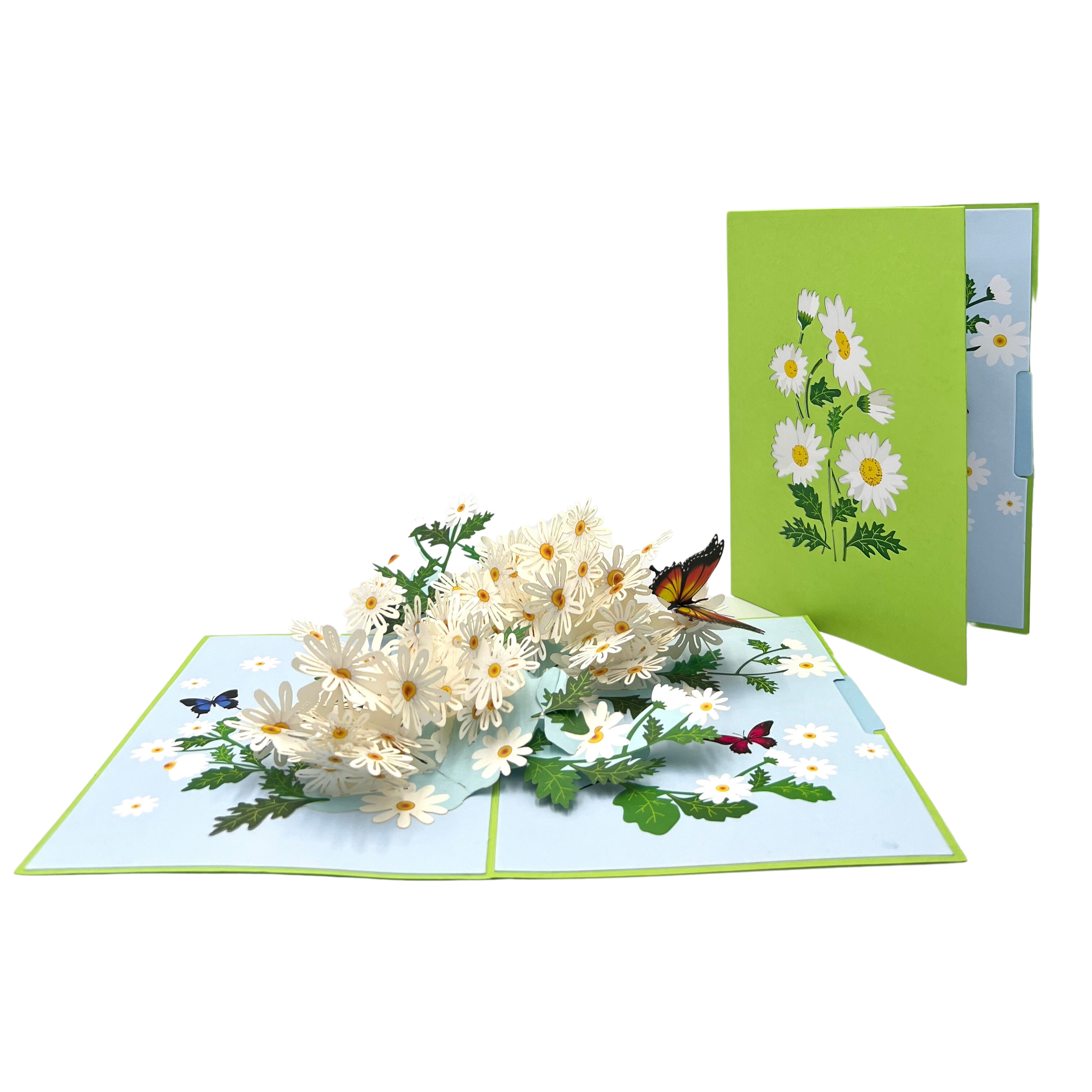Pop Up Greeting Card Blooming White Daisy Field Card, Flower Card, Daisy Gift, Flower Cards, Spring Card, Mother's Day, Flowers Gift Card