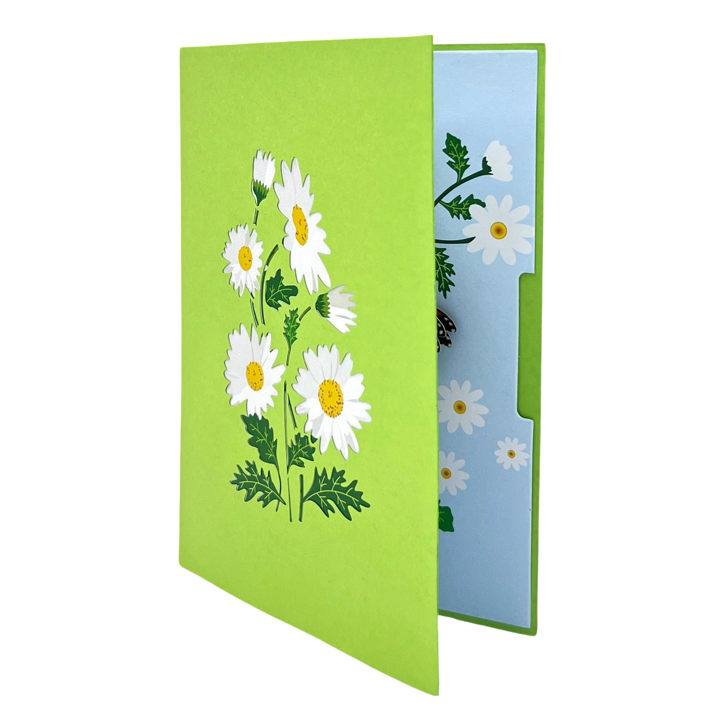 Pop Up Greeting Card Blooming White Daisy Field Card, Flower Card, Daisy Gift, Flower Cards, Spring Card, Mother's Day, Flowers Gift Card