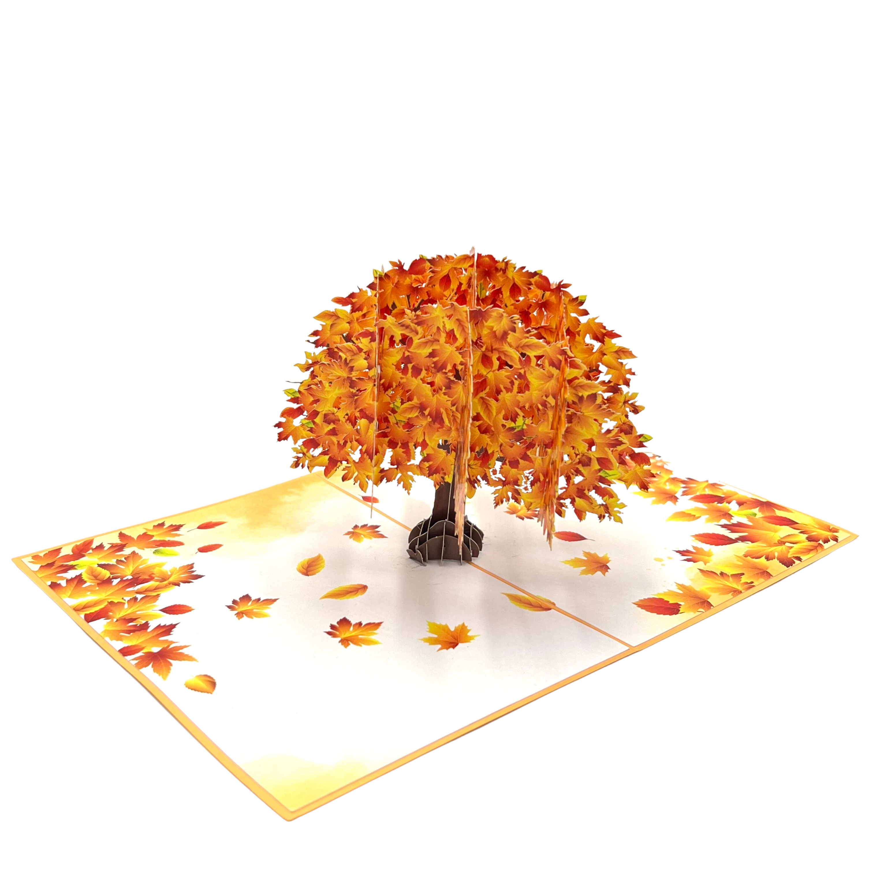 Pop Up Greeting Card Japanese Maple Orange Dream Autumn Card Thank You Birthday Card Nature Card Fall Color Gift Card for Kid Mom Dad Family