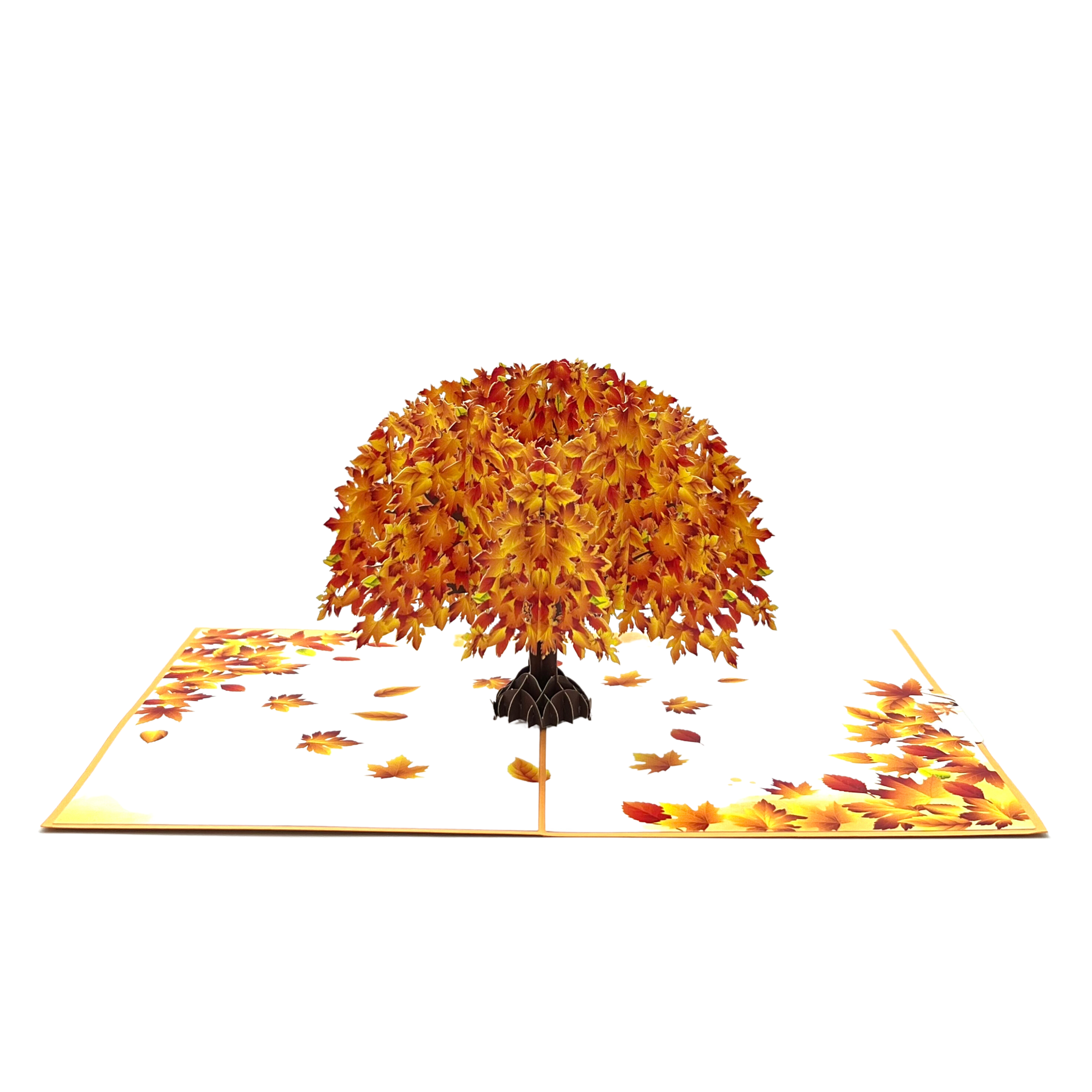 Pop Up Greeting Card Japanese Maple Orange Dream Autumn Card Thank You Birthday Card Nature Card Fall Color Gift Card for Kid Mom Dad Family