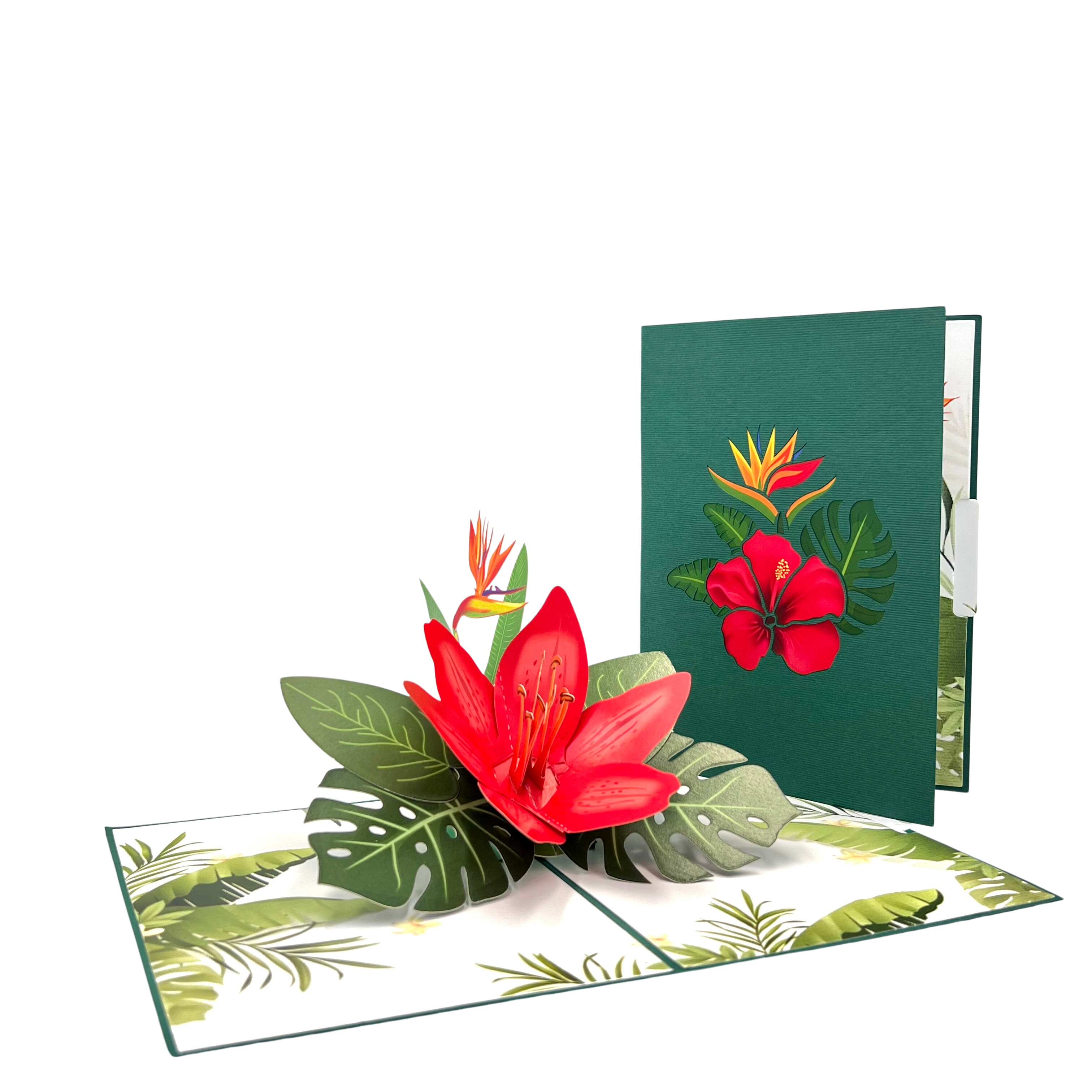 https://niumcraft.com/cdn/shop/files/niumcraft-the-tropical-red-flower-blooming-3d-pop-up-greeting-card-02.png?v=1692637174&width=3024